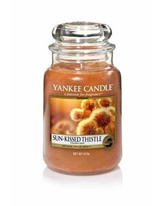 Yankee Candle Sun Kissed Thistle Large Jar Candle